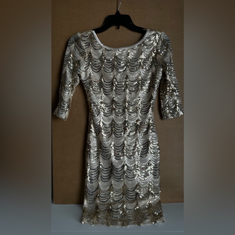 Sequin Dress Size Small